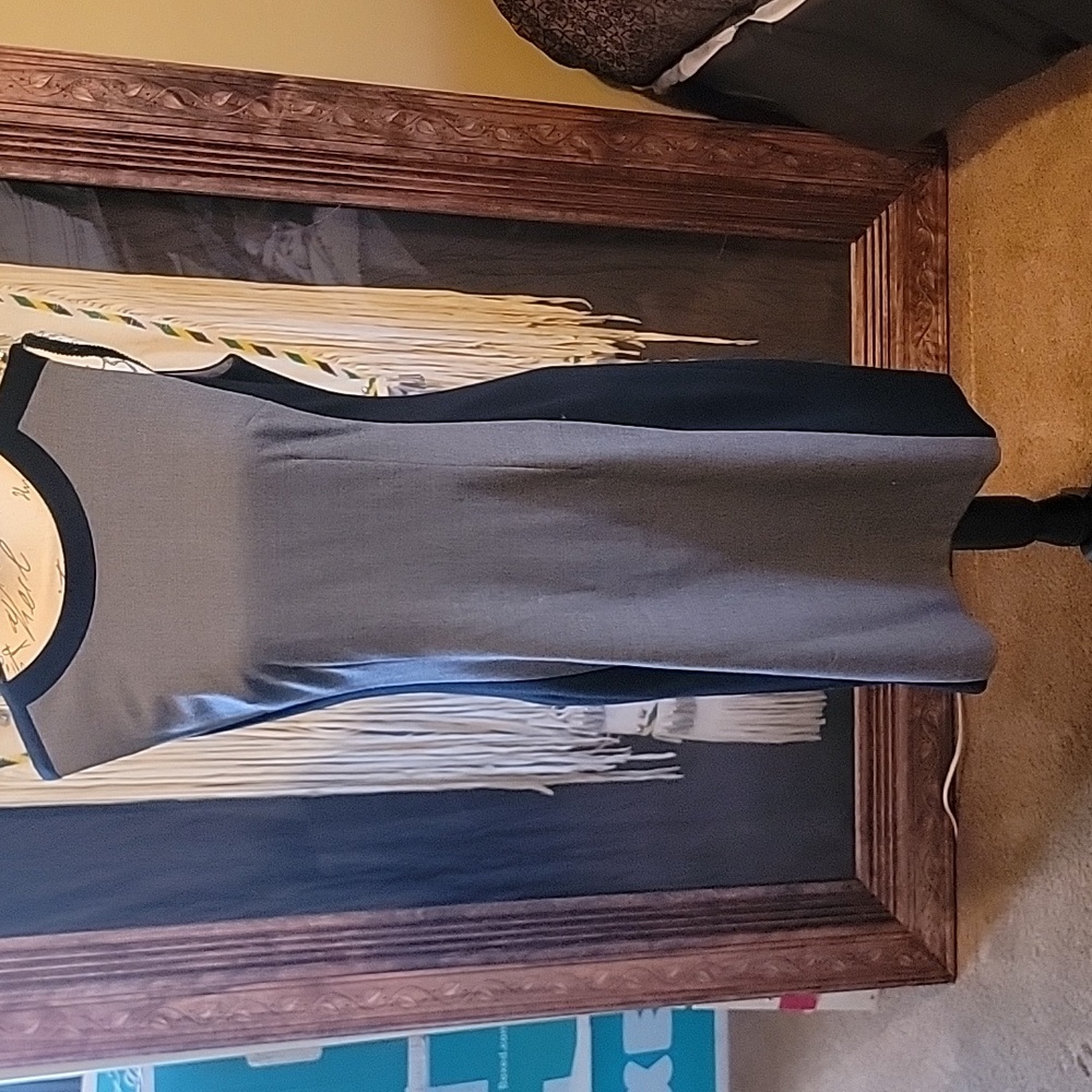 Ann Taylor dress